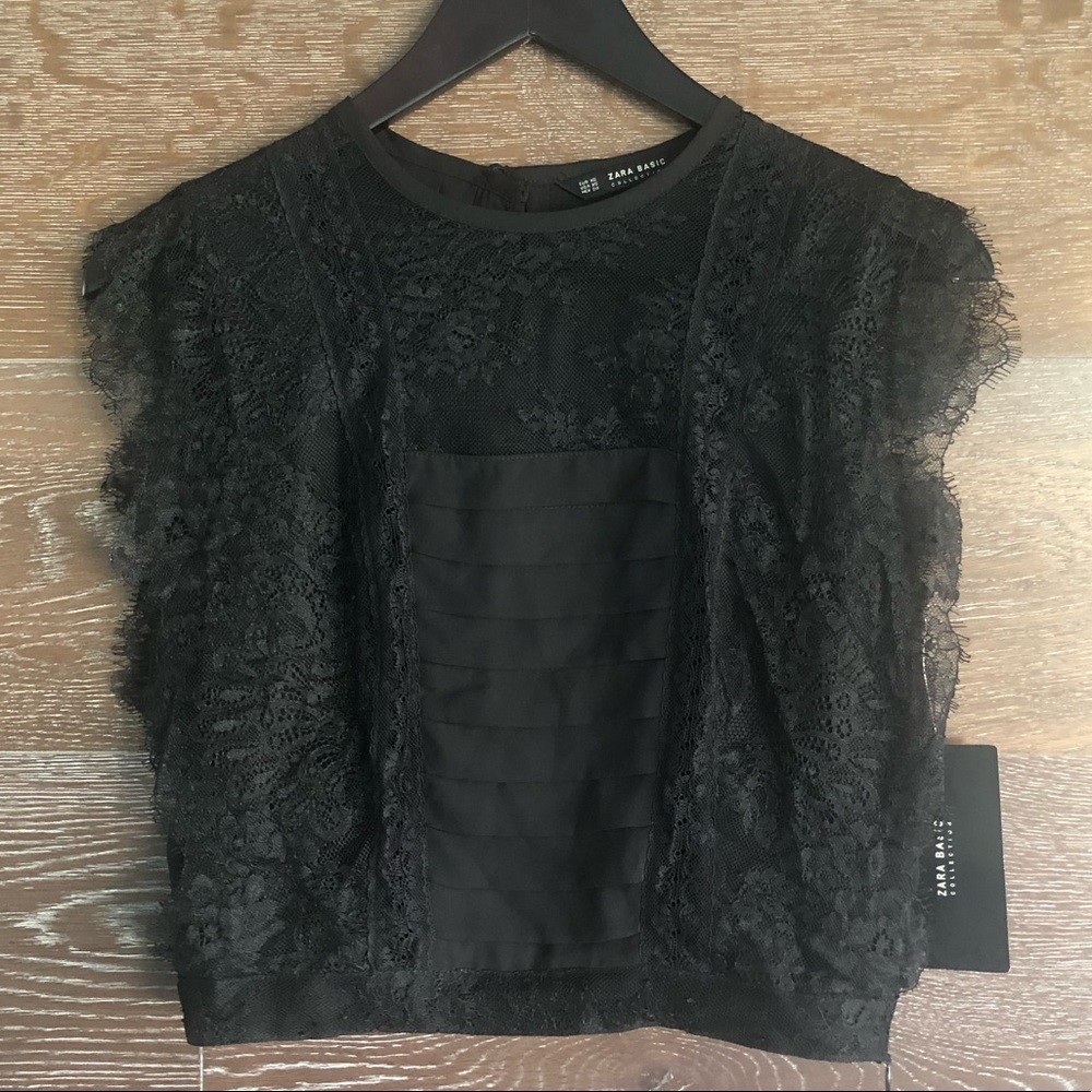 Zara Crop Top w/ Lace Flutter Sleeves